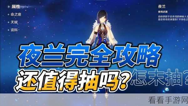 原神夜兰深度解析，技能特性、多元玩法流派与独特魅力全揭秘