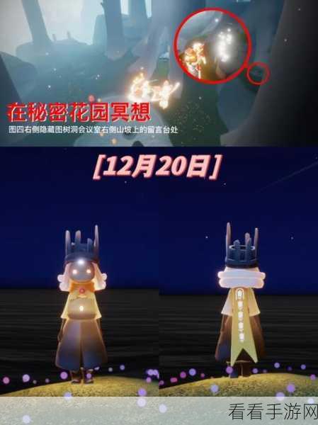 揭秘光遇秘密花园，详尽攻略带你找到隐藏入口，赢取限定装扮！