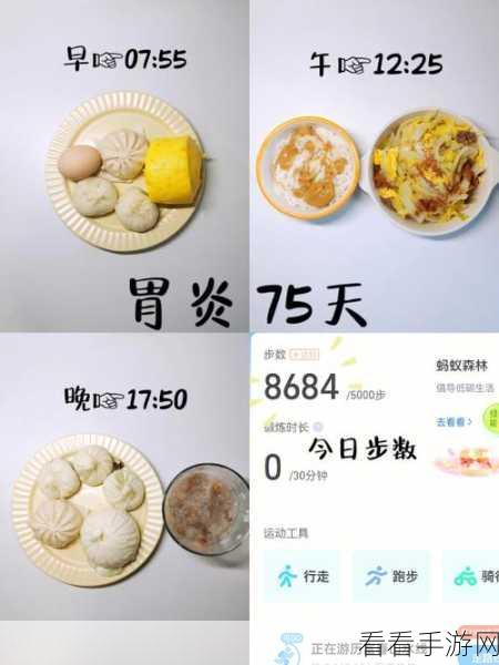 晚安森林美食秘籍，解锁04版最新食物配方大全