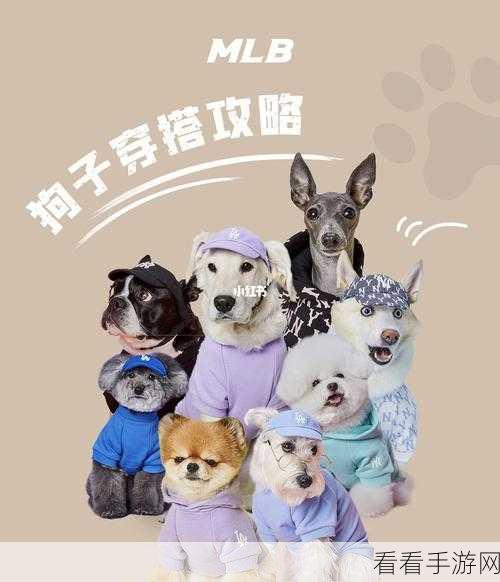 疯狂梗传挑战，拆散食物CP通关秘籍大揭秘