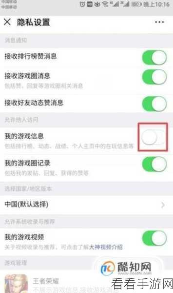 王者荣耀战绩隐身术，揭秘隐藏战绩设置全攻略