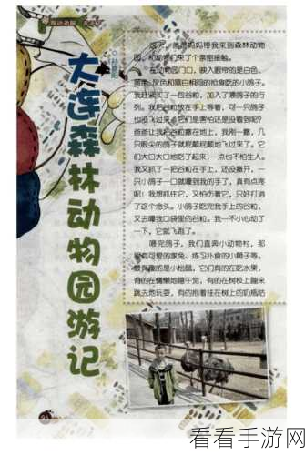 揭秘动物森林测试服，攻岛全攻略与精彩细节曝光