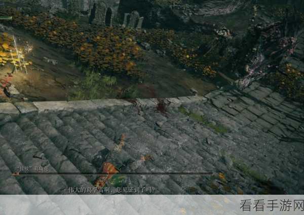 揭秘！艾尔登法环中铁处女的致命弱点与战斗策略