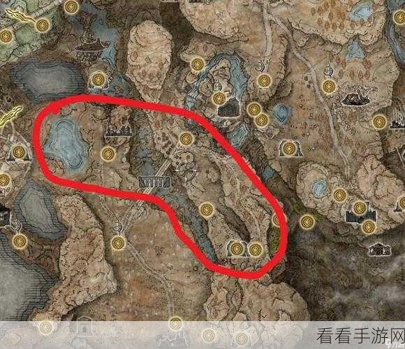 揭秘！艾尔登法环中铁处女的致命弱点与战斗策略