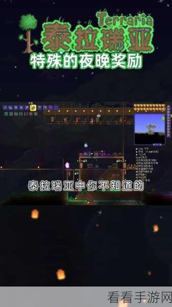 泰拉瑞亚攻略，揭秘高效刷取黑暗之魂的绝密途径