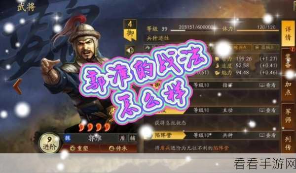 曹仁技能全解析，国志战略版实战策略指南