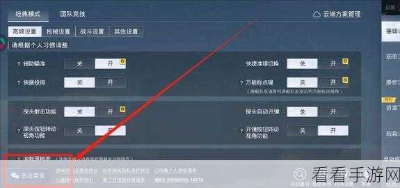 和平精英高手进阶，揭秘顶尖玩家的制胜技巧与赛事细节