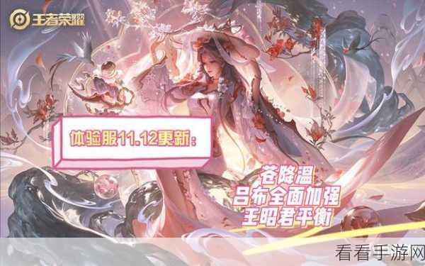 王者荣耀王昭君体验服技能大改，冰霜女王强势归来，赛场格局或将重塑