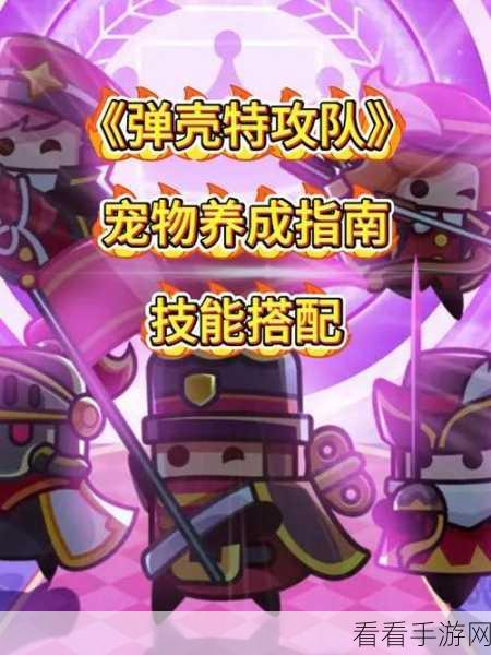 弹壳特攻队顶尖装备搭配指南，解锁战斗新境界