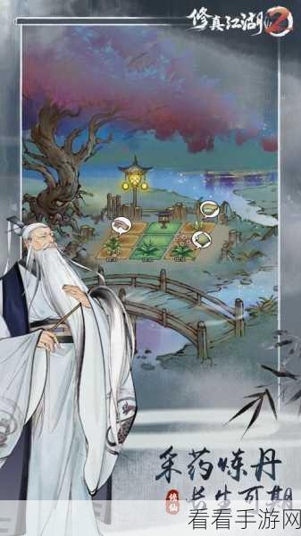 修真江湖2深度攻略，征服练功房心魔，成就无上仙途