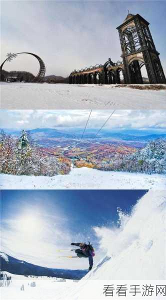忘雪新游震撼登场，游心社力作误入妖怪夜市，挑战你的逃脱极限！