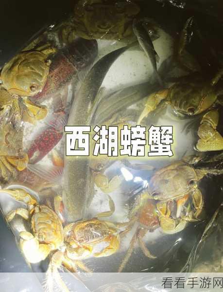 探秘螃蟹在局内的神秘待机动作