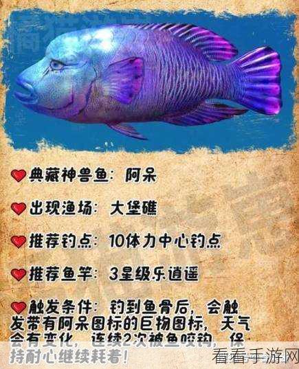 魔兽世界手游版，揭秘迪森皇后鱼的绝密钓点，助你成就钓鱼大师！