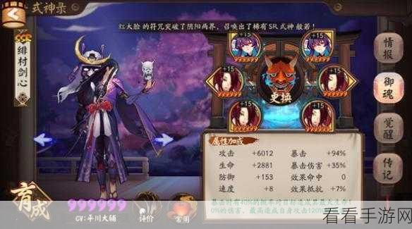 阴阳师神启荒御魂搭配秘籍，精准剖析最佳策略与实战技巧