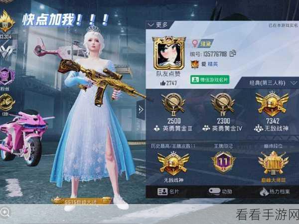 2025 年 4 月吉利的和平精英萌妹专属热门名字大赏