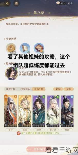 代号鸢，双盾阵容深度解析与实战攻略