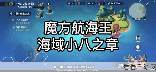 航海王壮志雄心，深度攻略与竞技赛事全解析