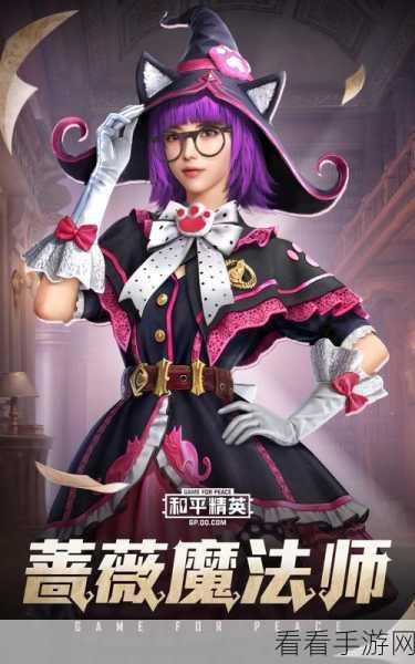 和平精英粉装生套外观大揭秘，惊艳还是平凡？