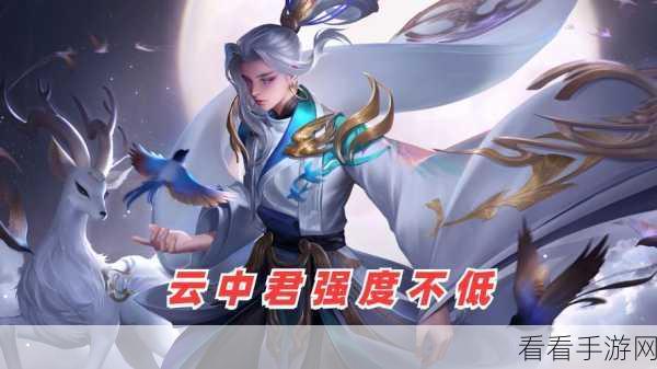 云中君热度与冲榜秘诀大揭秘