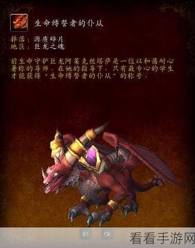 伊洛纳，探秘以太病逍遥人与饱食主义的攻击力乘区之谜
