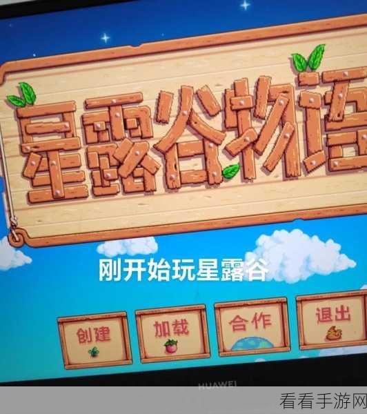 星露谷物语，揭秘海泡布丁的获取秘籍与难点突破