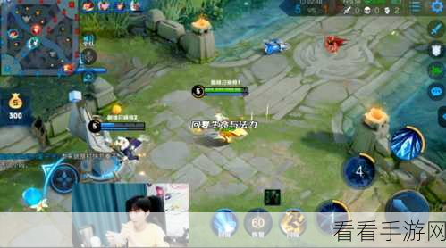 杨玉环经济发育秘籍，赛场称霸的关键