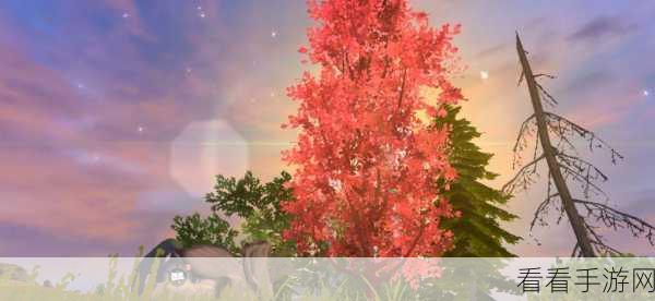 妄想山海神树位置全揭秘,探秘秘境 狂揽资源
