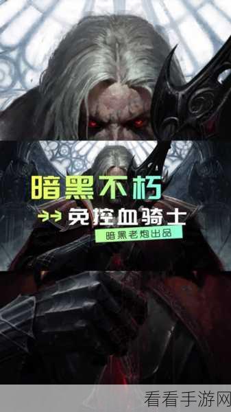 独奏骑士血爆后期伤害突破秘籍大揭秘
