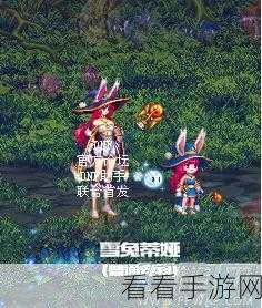 DNF 手游，雪兔宠物深度探秘，冒险之旅必备指南