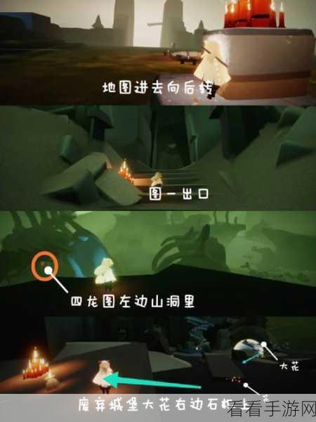 光遇荧光小菇位置全揭秘，助你轻松找到