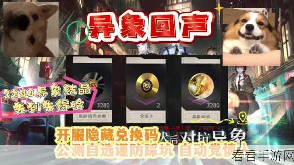 探秘异象回声兑换码的神秘使用之地与正确之法