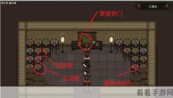 大江湖之苍龙与白鸟，无名岛武功领悟秘籍大公开