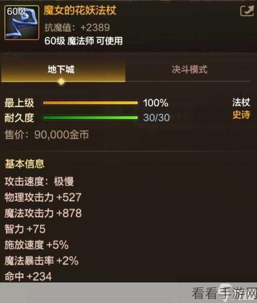 地下城与勇士起源版，元素师属性抉择的深度探秘