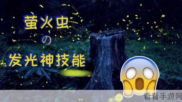 重返深渊，萤火虫技能大揭秘