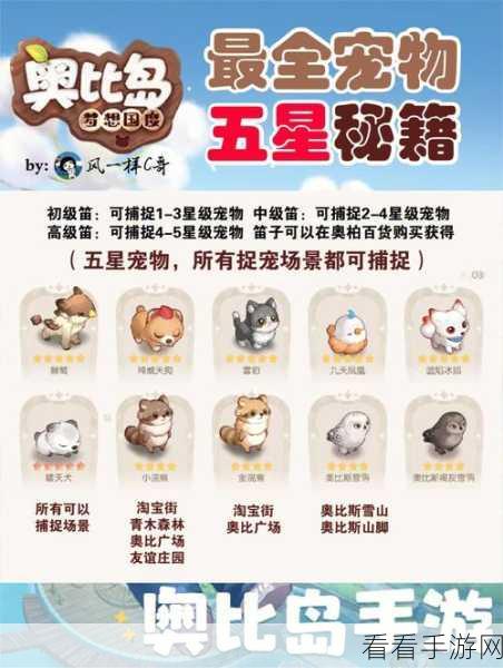 奥比岛手游，宠物饲料获取秘籍大揭秘