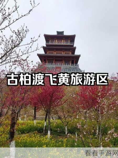 孤柏渡飞黄旅游区，黄河与江南的梦幻交织