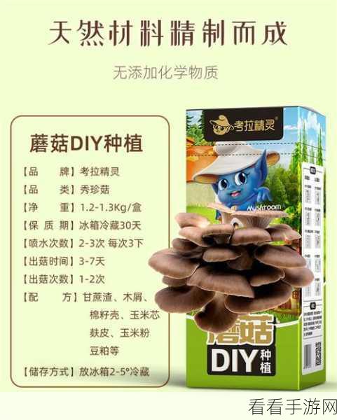 灵契少女珍稀食材探秘，秀珍蘑菇全攻略