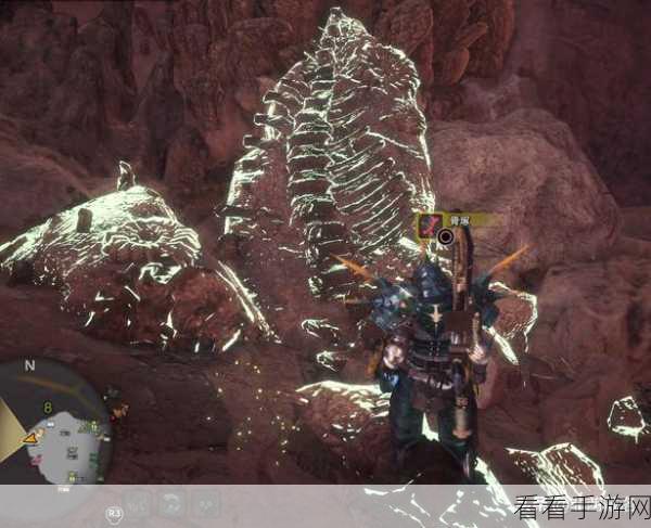 怪物猎人崛起，曙光强龙骨获取攻略大揭秘