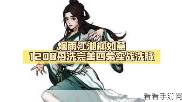 烟雨江湖高手秘籍,柳如意主T深度玩法与实战技巧解析