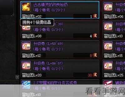 剑与远征迷霭之森通关秘籍，详细攻略助你一路畅行