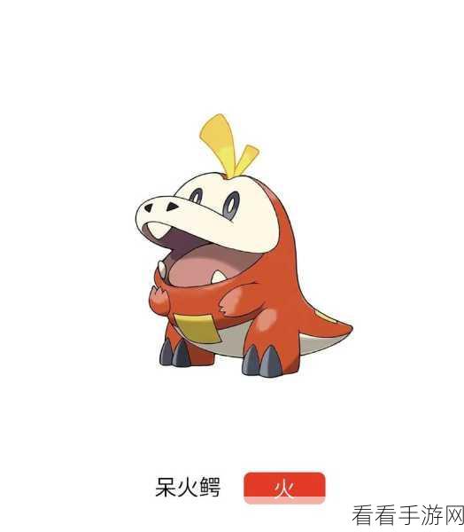 宝可梦大探险，揭秘鸭嘴火兽高效进化食谱与攻略秘籍