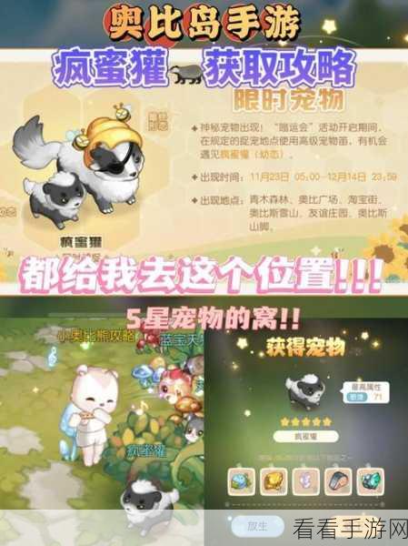 奥比岛手游攻略，藜麦收取秘籍，助你实现丰收梦想