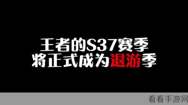 S37 赛季项羽制霸战场，胜率飙升实战秘籍