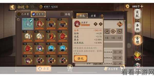 阴阳师高手秘籍，九命猫御魂完美搭配攻略