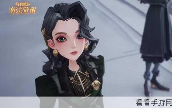 哈利波特魔法觉醒，初雪盛宴 开启奇幻冒险新篇章