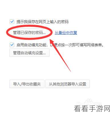 手游玩家必看，360极速浏览器如何一键保存游戏账号密码，提升登录效率