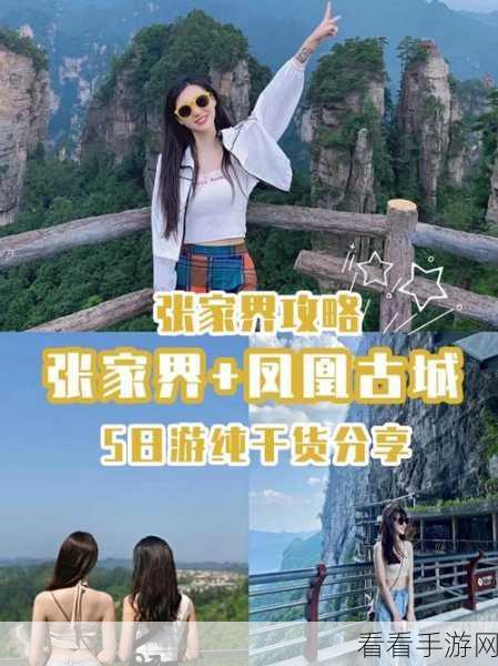 归龙潮珍闻杯中留活动超详细畅玩攻略