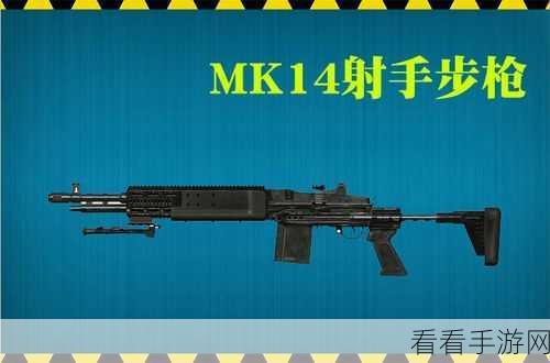 绝地求生刺激战场，M16A4步枪高手进阶指南，精准射击与战术布局详解