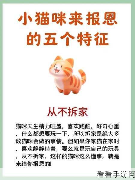 小森生活养猫攻略，轻松将萌宠猫咪带回家，打造温馨家居生活