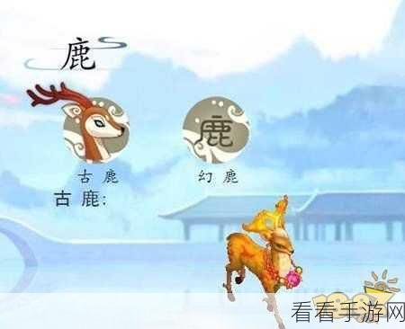 问道手游小红花兑换惊喜奖励，最优选择秘籍大公开